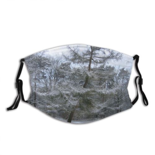 yanfind Winter Frost Snowy Winter Natural Atmospheric Larch Branches Woody Frosty Frigid Landscape Dust Washable Reusable Filter and Reusable Mouth Warm Windproof Cotton Face