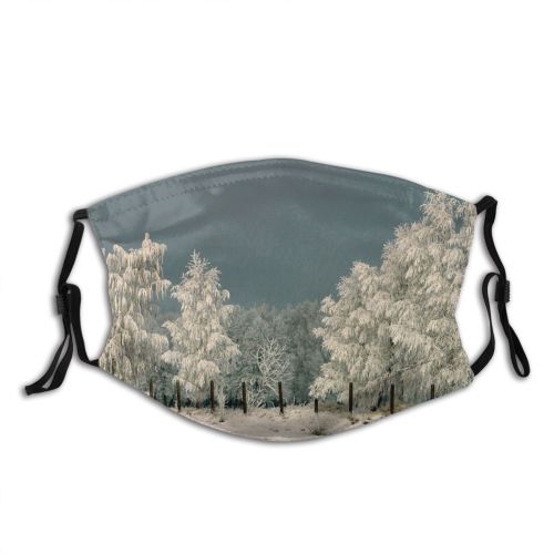 yanfind Landscape Lake Scenery Sky Ice Tree Winter Rock Freezing Snow River Snow Dust Washable Reusable Filter and Reusable Mouth Warm Windproof Cotton Face