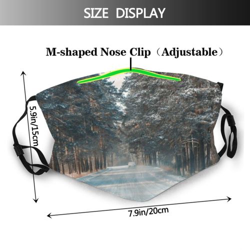 yanfind Communication Frozen Tree Snow City Treelined Way Diminishing Perspective Forward Road Kazakhstan Dust Washable Reusable Filter and Reusable Mouth Warm Windproof Cotton Face