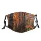 yanfind Temperate Tranquil Sky Natural Idyllic Beauty Sun Autumn Branches Happiness Leaves Landscape   Dust Washable Reusable Filter and Reusable Mouth Warm Windproof Cotton Face