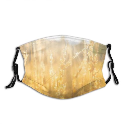 yanfind Cereal Ditch Wheat Season Field Rye Scene Bread Sky  Netherlands Farm Dust Washable Reusable Filter and Reusable Mouth Warm Windproof Cotton Face