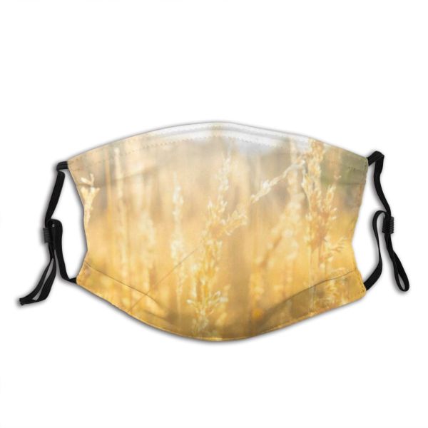 yanfind Cereal Ditch Wheat Season Field Rye Scene Bread Sky  Netherlands Farm Dust Washable Reusable Filter and Reusable Mouth Warm Windproof Cotton Face