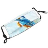yanfind Isolated Bird Cute Feather Flying Colorful Natural Ornithology Wildlife Fauna Avian Birds Dust Washable Reusable Filter and Reusable Mouth Warm Windproof Cotton Face