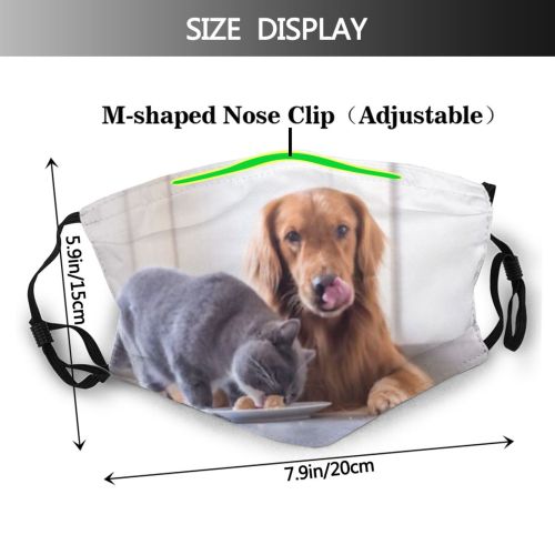 yanfind Company Lovely Intermission Cat Sharing British Pure Shorthair Friendly Dog Along Interesting Dust Washable Reusable Filter and Reusable Mouth Warm Windproof Cotton Face