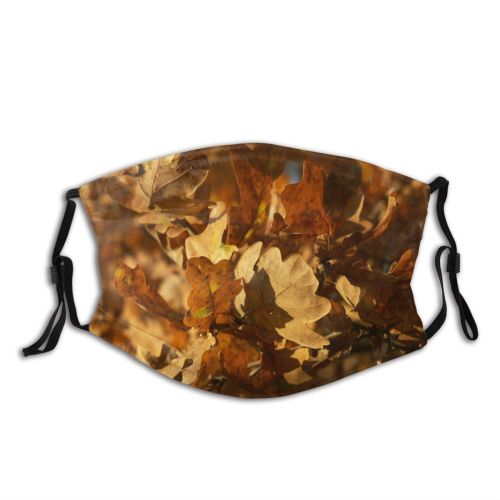 yanfind Deciduous Sunlight Leaf Plant Maple Tree Branch Autumn Plane Autumn Dust Washable Reusable Filter and Reusable Mouth Warm Windproof Cotton Face