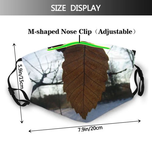 yanfind Deciduous Leaf Beech Leaf Plant Twig Tree Tree Branch Plant Winter Birch Dust Washable Reusable Filter and Reusable Mouth Warm Windproof Cotton Face