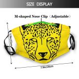 yanfind Isolated Hunter Stripe Endangered Cat Fierce Carnivore Screen Wildlife Leopard Female Aggression Dust Washable Reusable Filter and Reusable Mouth Warm Windproof Cotton Face