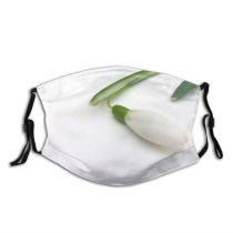 yanfind Winter Flower Tulip Spring Amaryllis Snowdrops Plant Galanthus Flower Flowering Europe Snowdrop Dust Washable Reusable Filter and Reusable Mouth Warm Windproof Cotton Face