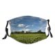 yanfind Field Summer Sky Farm Flower Tree Crop Cloud Clouds Cloud Crop Sunflower Dust Washable Reusable Filter and Reusable Mouth Warm Windproof Cotton Face