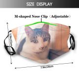 yanfind Asian Japanese Beard Young Punch Cat Cute Mood Beautiful City Face Pet Dust Washable Reusable Filter and Reusable Mouth Warm Windproof Cotton Face