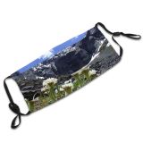 yanfind Fiordland Natural Sun Cliffs Wilderness Landscape Mountain Plant Flowers Wildflower Ice Fiords Dust Washable Reusable Filter and Reusable Mouth Warm Windproof Cotton Face