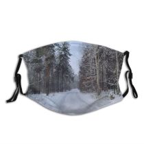 yanfind Winter Road Landscape Trees Tree Wood Winter Road Freezing Natural Snow Forest Dust Washable Reusable Filter and Reusable Mouth Warm Windproof Cotton Face