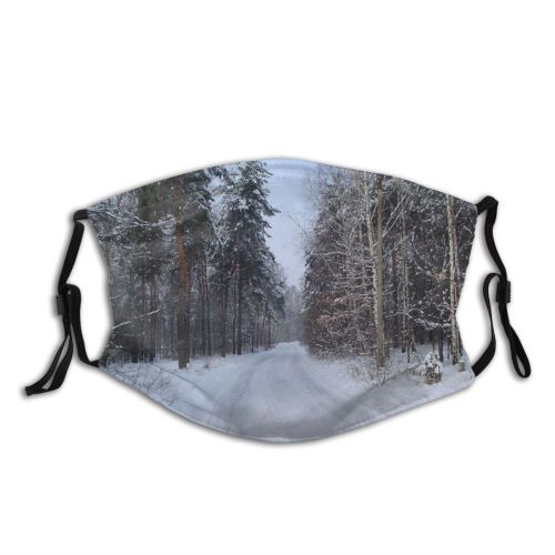 yanfind Winter Road Landscape Trees Tree Wood Winter Road Freezing Natural Snow Forest Dust Washable Reusable Filter and Reusable Mouth Warm Windproof Cotton Face