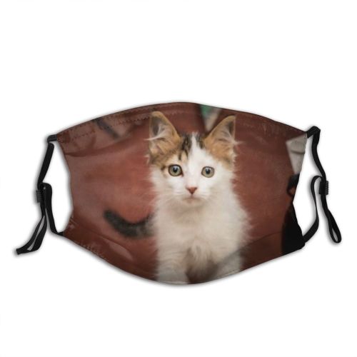 yanfind Adopt Fur Young Cat Kitty Cute Tricolor Baby Beautiful Pretty Pet Fluffy Dust Washable Reusable Filter and Reusable Mouth Warm Windproof Cotton Face