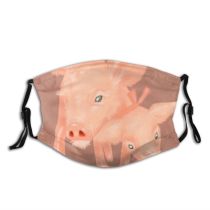 yanfind Isolated Farm Life Picture Pork Cute Colorful Heads Sow Design Bow Pigs Dust Washable Reusable Filter and Reusable Mouth Warm Windproof Cotton Face