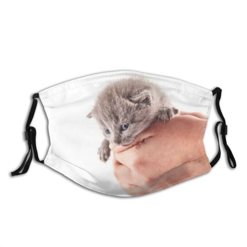yanfind Isolated Fur Straight Young Little Cat Game British Cute Kitty Wool Grey Dust Washable Reusable Filter and Reusable Mouth Warm Windproof Cotton Face