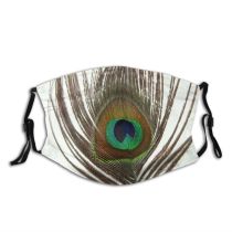 yanfind Feathers Iris Flashy Natural Peacock Eye Colorful Accessory Feather Majestic Peafowl Eye Dust Washable Reusable Filter and Reusable Mouth Warm Windproof Cotton Face