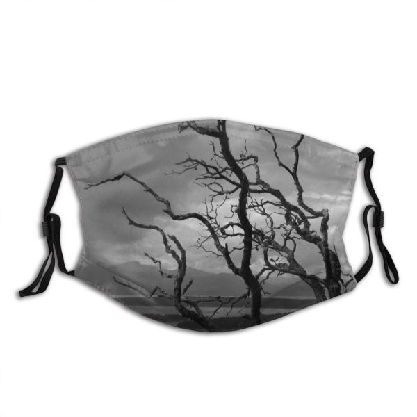 yanfind Winter Leaves Cloud Landscape Sky Trees Tree Branch Atmospheric Spring Dust Washable Reusable Filter and Reusable Mouth Warm Windproof Cotton Face