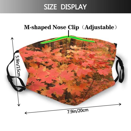 yanfind Leafs Deciduous Forest Maple Leaf Hardwood Leaf Maple Plant Northern Tree Autumn Dust Washable Reusable Filter and Reusable Mouth Warm Windproof Cotton Face