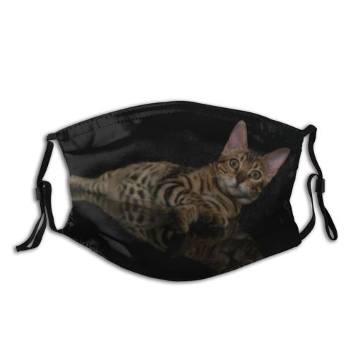 yanfind Isolated Fur Young Striped Cat Kitty Cute Shorthair Leopard Bengal Baby Curious Dust Washable Reusable Filter and Reusable Mouth Warm Windproof Cotton Face