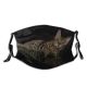 yanfind Isolated Fur Young Striped Cat Kitty Cute Shorthair Leopard Bengal Baby Curious Dust Washable Reusable Filter and Reusable Mouth Warm Windproof Cotton Face