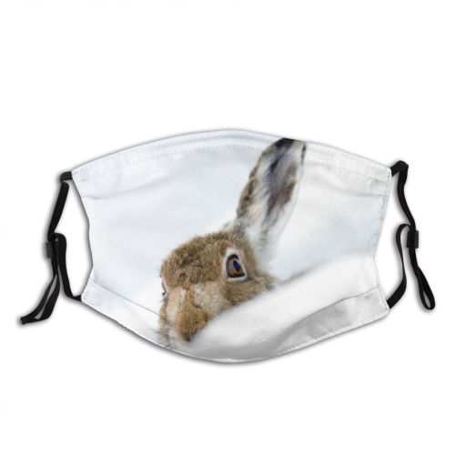yanfind Peeking Snow Camera Hare Space Wildlife Tilt UK Mountain Cute Security Deep Dust Washable Reusable Filter and Reusable Mouth Warm Windproof Cotton Face