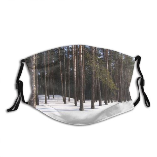 yanfind Winter Show Winter Natural Wood Spruce Snow Pine Forest Hardwood Northern Tree Dust Washable Reusable Filter and Reusable Mouth Warm Windproof Cotton Face