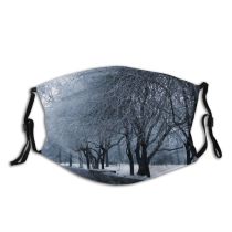 yanfind Winter Frost Bushes Winter Natural Atmospheric Landscape Sky Bush Branch Snow Tree Dust Washable Reusable Filter and Reusable Mouth Warm Windproof Cotton Face