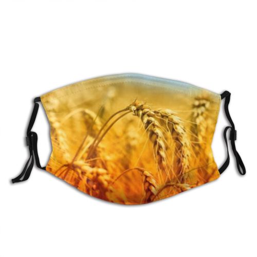 yanfind Cereal Wheat Ears Whole Dry Beautiful Agricultural Meadow Field Season Rye Stem Dust Washable Reusable Filter and Reusable Mouth Warm Windproof Cotton Face
