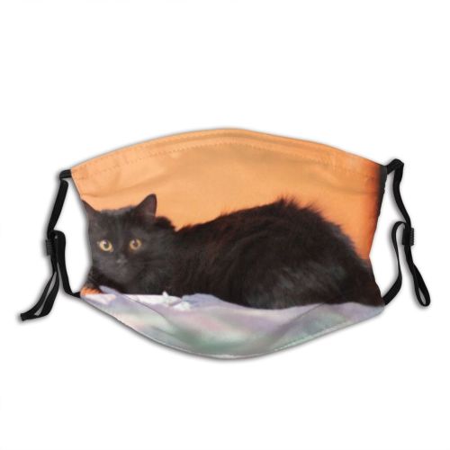 yanfind Isolated Elderly Silhouettes Cat Kitty Cute Clinic Old Contour Posing Female Friend Dust Washable Reusable Filter and Reusable Mouth Warm Windproof Cotton Face