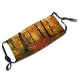 yanfind Temperate Tranquil Sky Natural Idyllic Beauty Sun Autumn Branches Happiness Leaves Landscape   Dust Washable Reusable Filter and Reusable Mouth Warm Windproof Cotton Face