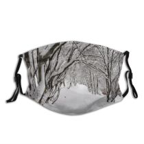 yanfind Winter Christmas Winter Natural Landscape Ice Branch Snow Forest Season Tree Blizzard Dust Washable Reusable Filter and Reusable Mouth Warm Windproof Cotton Face