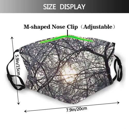 yanfind Winter Frost Blur Sun Woody Sky Plant Branch Sunlight Twig Tree Sunset Dust Washable Reusable Filter and Reusable Mouth Warm Windproof Cotton Face