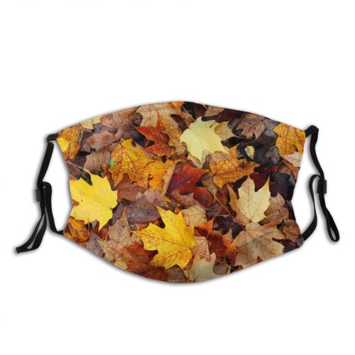yanfind Leaves Deciduous Leaf Fallen Maple Pile Leaf Maple Fall Plant Tree Autumn Dust Washable Reusable Filter and Reusable Mouth Warm Windproof Cotton Face