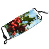 yanfind Flowering Holly Plant Flower Berry Tree Christmas Plant Tree Fruit Woody Season Dust Washable Reusable Filter and Reusable Mouth Warm Windproof Cotton Face