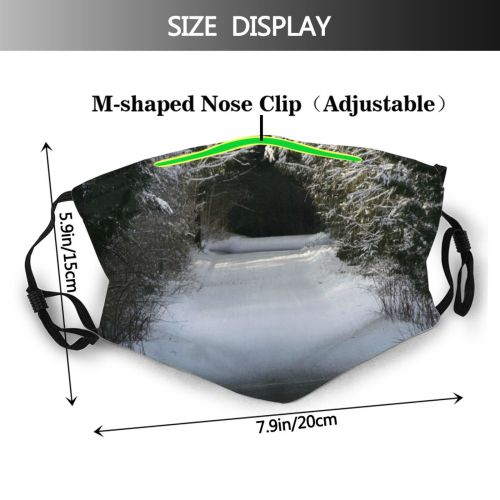 yanfind Winter Mackinac Forest Sky Infrastructure Tunnel Tree Island Light Winter Freezing Michigan Dust Washable Reusable Filter and Reusable Mouth Warm Windproof Cotton Face