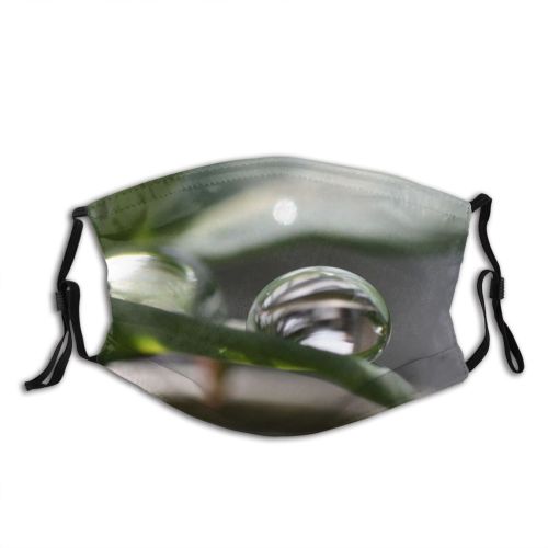yanfind Tropfen Drop Reflection Plant Leaf Moisture Plants Rain Drop Macro Macro Dew Dust Washable Reusable Filter and Reusable Mouth Warm Windproof Cotton Face