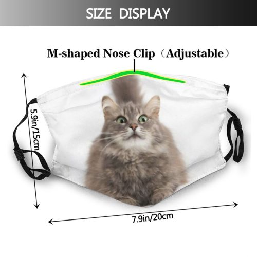 yanfind Isolated Pet Fluffy Eyes Cat Cute Adorable Dust Washable Reusable Filter and Reusable Mouth Warm Windproof Cotton Face