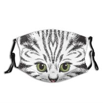 yanfind Isolated Whisker Fur Young Striped Kitty Cat Cute Curious Beautiful Face Pet Dust Washable Reusable Filter and Reusable Mouth Warm Windproof Cotton Face