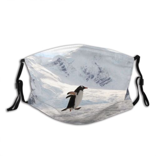 yanfind Penguin Argentina Snow Excitement ing Mountain Happiness Outdoors Winter Running Dust Washable Reusable Filter and Reusable Mouth Warm Windproof Cotton Face
