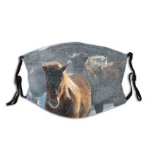 yanfind Winter Frozen Coat Shetland Pony Winter Furry Horses Horse Caballos Mane Sky Dust Washable Reusable Filter and Reusable Mouth Warm Windproof Cotton Face