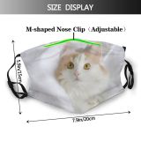 yanfind Looks Isolated Comfort Fur Ear Cat Cute Focus Nose Staring Mouth Peeking Dust Washable Reusable Filter and Reusable Mouth Warm Windproof Cotton Face