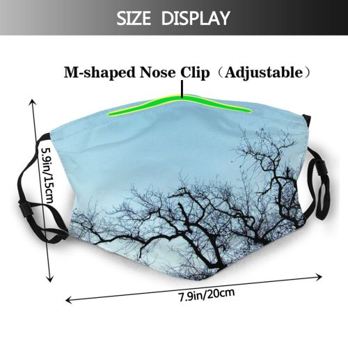 yanfind Winter Winter Natural Woody Backyard Landscape Sky Light Ice Netherlands Branch Holland Dust Washable Reusable Filter and Reusable Mouth Warm Windproof Cotton Face