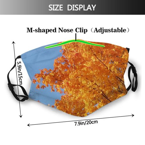 yanfind Maple Autumn Woody Sky Plant Fall Branch Wood Flowering Leaf Tree Tree Dust Washable Reusable Filter and Reusable Mouth Warm Windproof Cotton Face