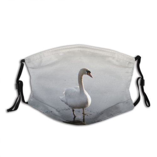 yanfind Winter Frozen Ducks Atmospheric Reflection Ice Beak Geese Duck Swans Bird Swan Dust Washable Reusable Filter and Reusable Mouth Warm Windproof Cotton Face