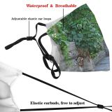 yanfind Outdoors Vine Wood Plant Leaf Ctechs Wall Vines Grass Ivy Tree Architecture Dust Washable Reusable Filter and Reusable Mouth Warm Windproof Cotton Face