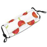 yanfind Isolated Peach Cute Vegetarian Seamless Berry Natural Juicy Summer Ornament Fresh Design Dust Washable Reusable Filter and Reusable Mouth Warm Windproof Cotton Face