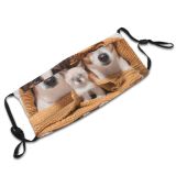 yanfind Friends Dogs Fur Together Cat Cute Warm Dog Fall Pedigreed Puppy Room Dust Washable Reusable Filter and Reusable Mouth Warm Windproof Cotton Face