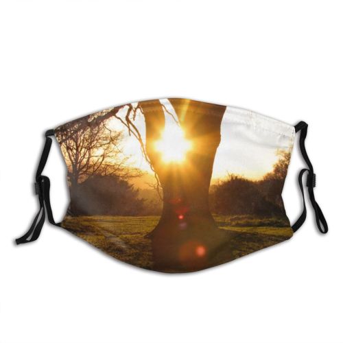 yanfind Natural Atmospheric Sun Autumn Branch Landscape Sky Branch Sunlight Tree Tree Light Dust Washable Reusable Filter and Reusable Mouth Warm Windproof Cotton Face