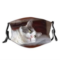 yanfind Physique Isolated Hunter Picture Fit Cat Kitty Cute Relaxed Coon Grey Interior Dust Washable Reusable Filter and Reusable Mouth Warm Windproof Cotton Face